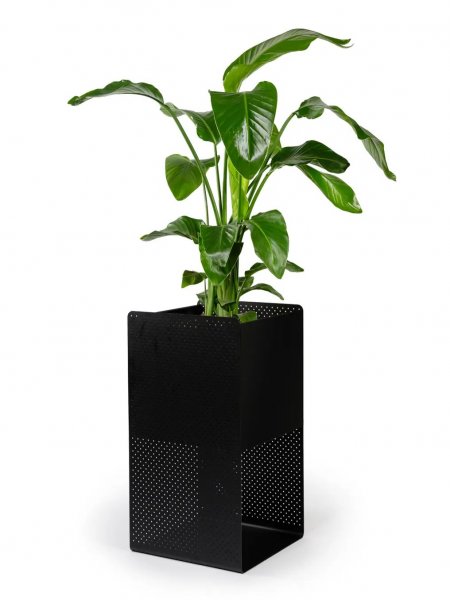 Perforovaný designový květináč – černý kov